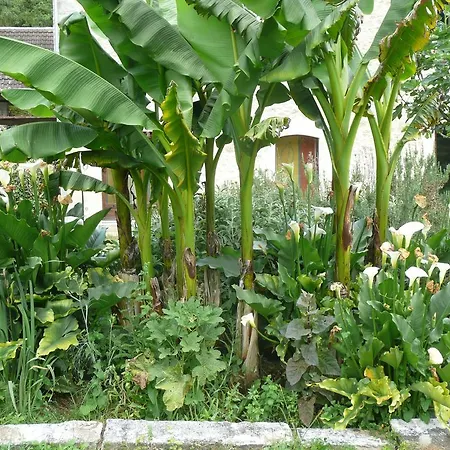 Pipowagen Blagour Gelegen Aan Waterbron