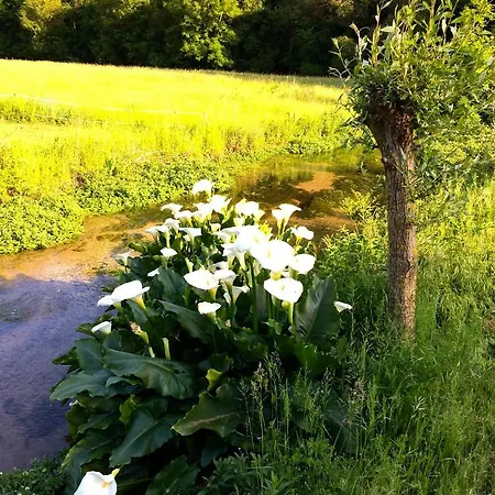 Pipowagen Blagour Gelegen Aan Waterbron Kır Evi