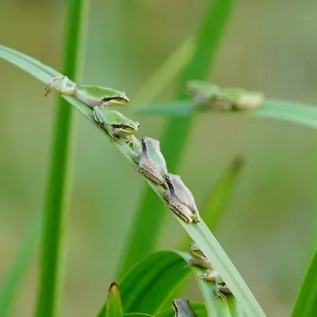Pipowagen Blagour Gelegen Aan Waterbron Casa di campagna