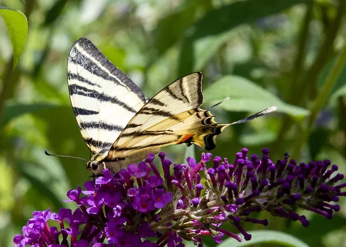 Country house Pipowagen Blagour Gelegen Aan Waterbron Lachapelle-Auzac