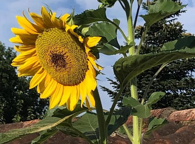 Pipowagen Blagour Gelegen Aan Waterbron Lachapelle-Auzac
