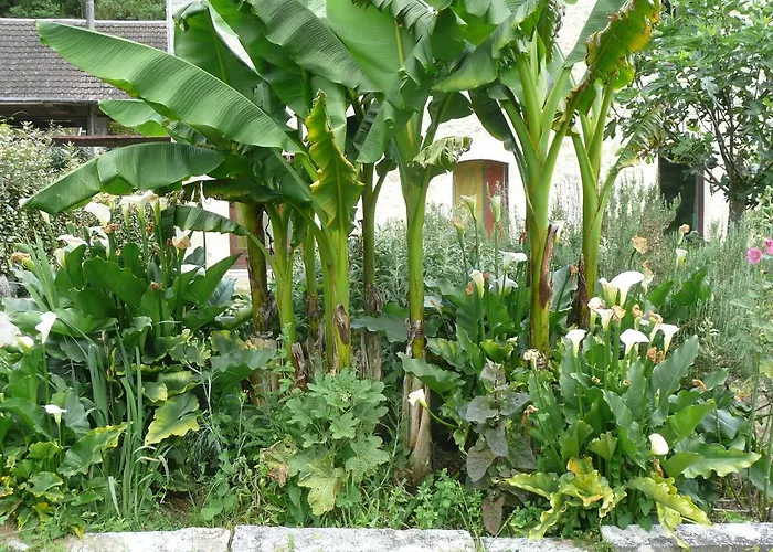 Pipowagen Blagour Gelegen Aan Waterbron