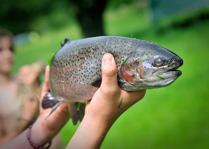 Pipowagen Blagour Gelegen Aan Waterbron *