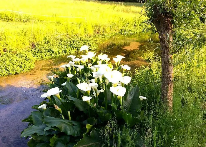 Pipowagen Blagour Gelegen Aan Waterbron Country house